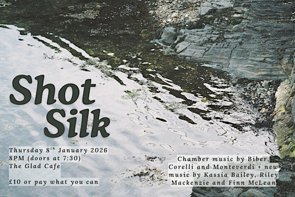 Shot Silk | The Glad Cafe CIC