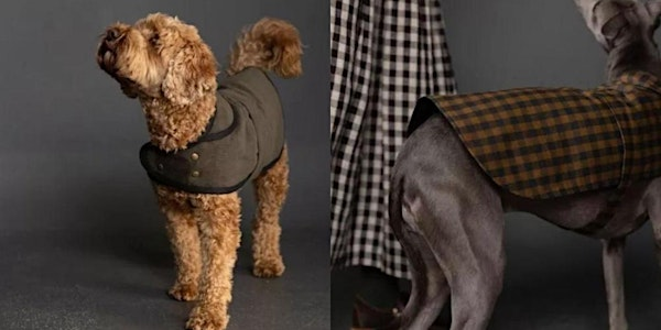 Dog Coat | Blue House Fabrics