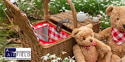 Teddy Bear's Picnic | Shobdon Aerodrome