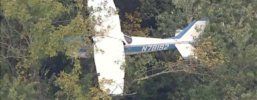 How To Land In a Tree | 165 Passaic Ave suite 103