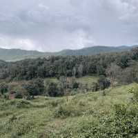 Elefin Farm & Cafe เอเลฟิน ฟาร์ม แอนด์ คาเฟ่