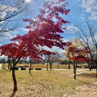 [🇰🇷, 창원] 가을을 즐기며 용지문화공원에서 산책 즐기자~🍁🍂