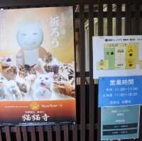 猫猫寺(開運ミュージアム?!)