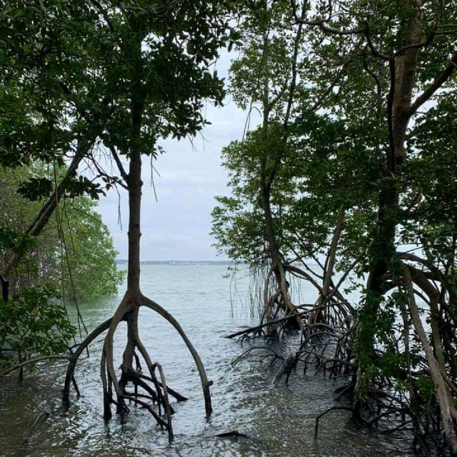 Pulau Ubin