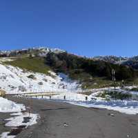 真っ白な万座温泉エリアの山側