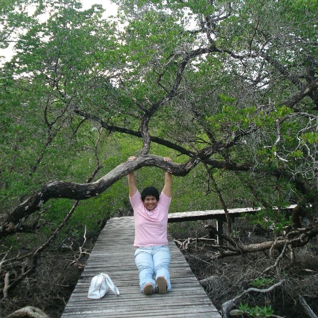 สถานีพัฒนาทรัพยากรป่าชายเลนที่ 4 เกาะช้าง