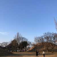 [경주 핫플] 신라시대고분군_대릉원