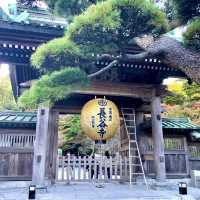 【神奈川】あじさいや紅葉も有名🍁長谷寺