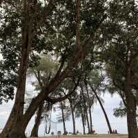 Adena Beach Resort Kuantan