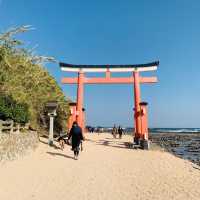 青島神社に行ってきた！🙋‍♀️🙋‍♂️