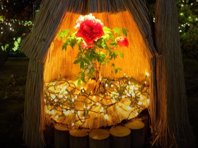 櫪木賞花名園LED燈飾花園
