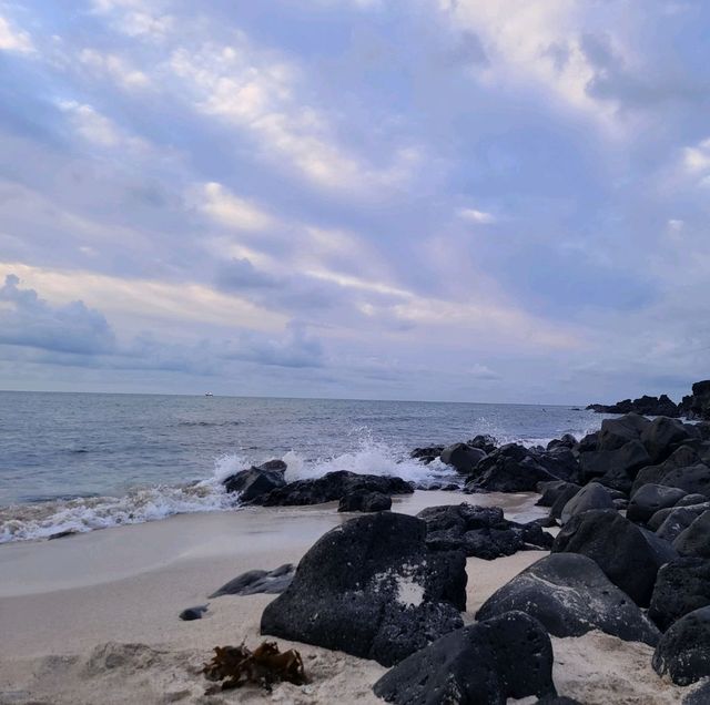 제주 월령리 해변 바캉스