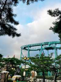 ๊ฐ์ฑ๋น ๊ฐ ๋์ด๊ณต์!!? ๊ฒฝ์ฃผ์๋๋ก ์ค๋ผ!!