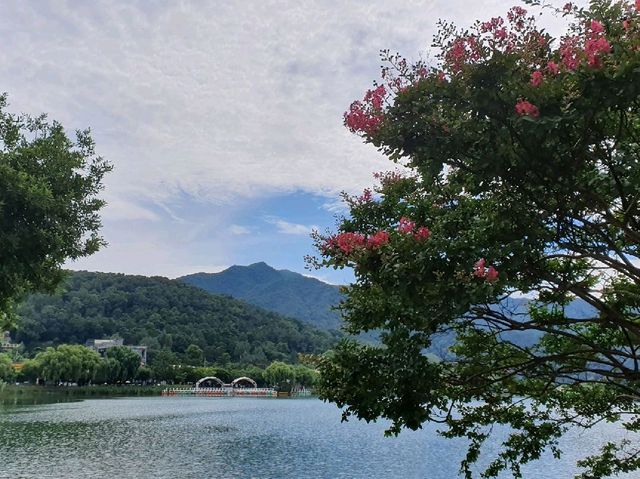 사시사철 언제 가도 예쁜 꽃과 푸른 나무를 구경할 수 있는 대구 수성못🌸🌺
