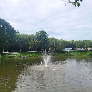 รายการ 98+ ภาพพื้นหลัง ไร่องุ่นภูกลองฮิลล์ รูปภาพ ความละเอียด 2k, 4k