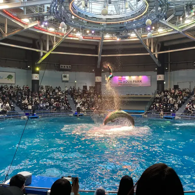 TOKYO最先端水族館 マクセル アクアパーク品川