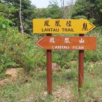 鳳凰山鳳凰徑