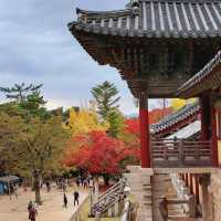 Colours at Bulguksa Temple  Gyeongju