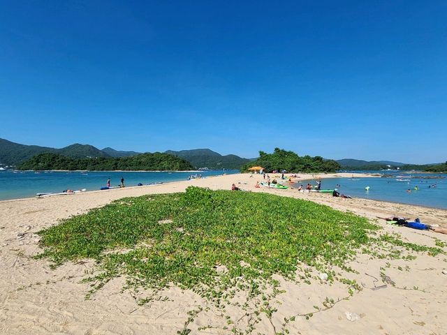【一見愛上~威士忌灣🍸🏝】