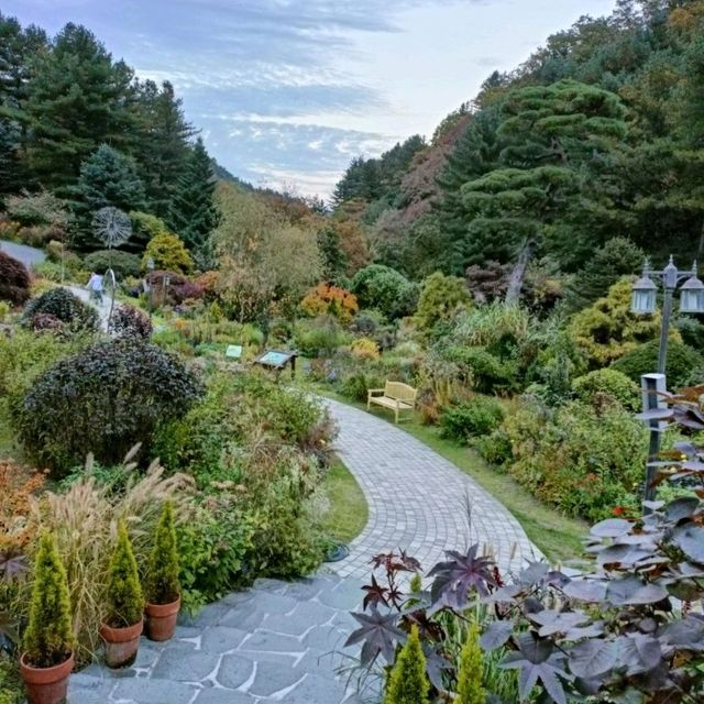 Garden with Fall colors 
