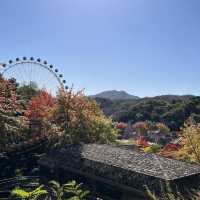 韓国【エバーランド】テーマパークで愉しむ韓国の秋🍁