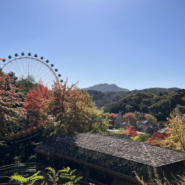 韓国【エバーランド】テーマパークで愉しむ韓国の秋🍁