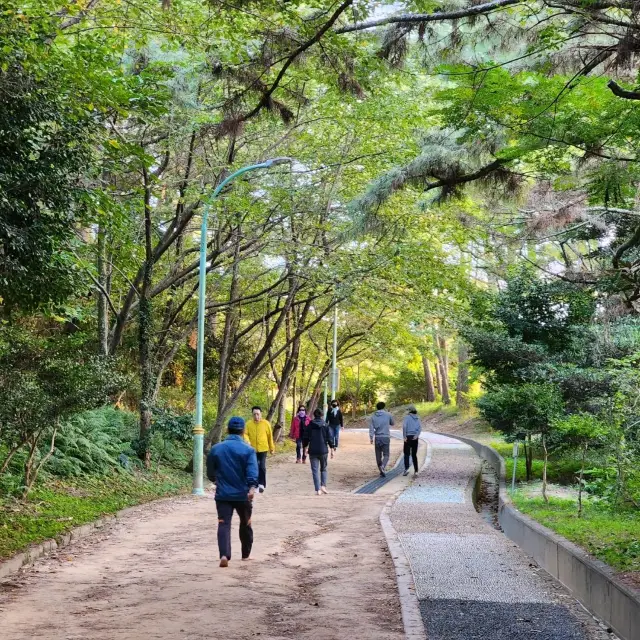 🚶🏻 도심 속 숲길을 거닐다, 한라수목원 산책길