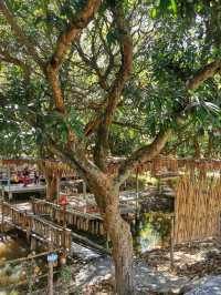 คาเฟ่ในสวน​ อาหารอร่อย​ อ่างทอง