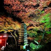 嵐山夜楓@寶嚴院