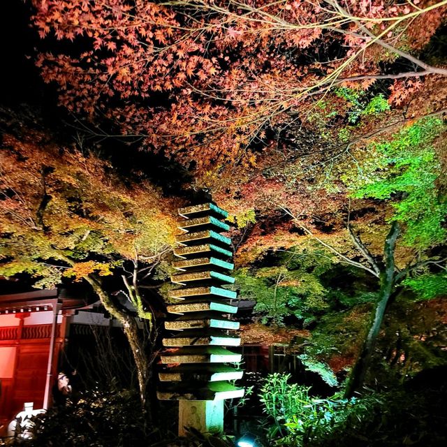 嵐山夜楓@寶嚴院