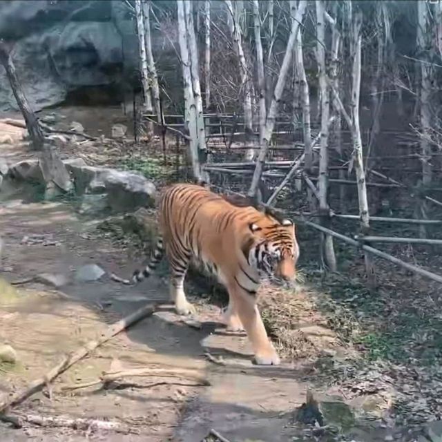 主題樂園🤓