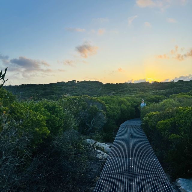 Malabar Headland Walk - a great Sydney coasta