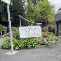 英國曼徹斯特 超大綠化公園 欣賞不同種類嘅植物