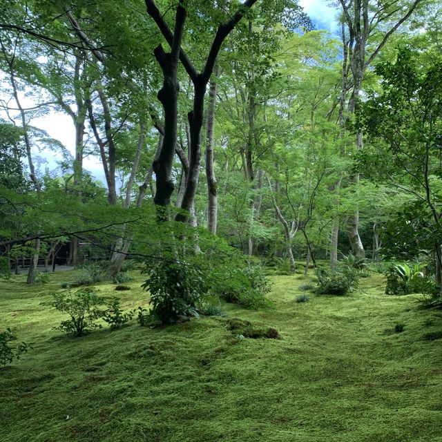 苔の絨毯が美しい京都　祇王寺