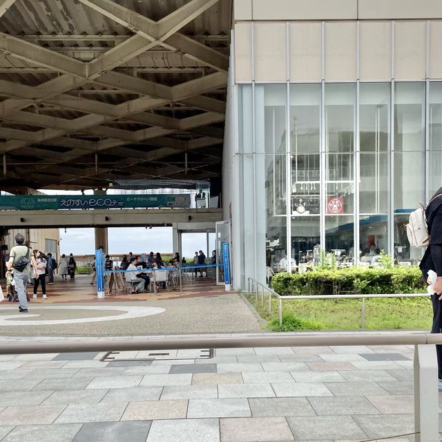 新江ノ島水族館の壁画アート