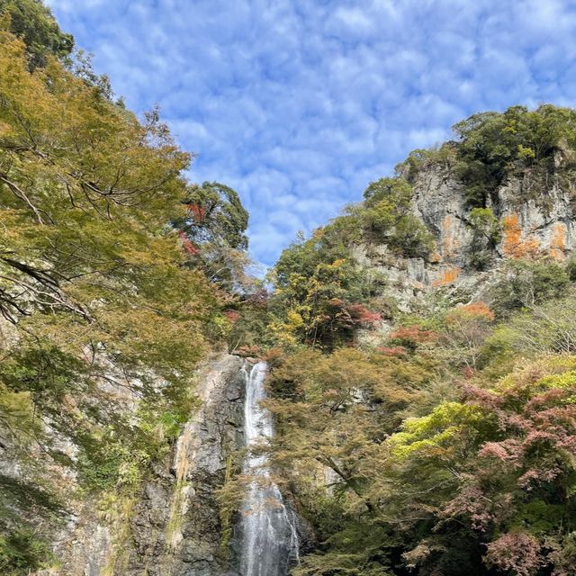 箕面公園｜日本の滝 百選に選ばれた箕面大滝