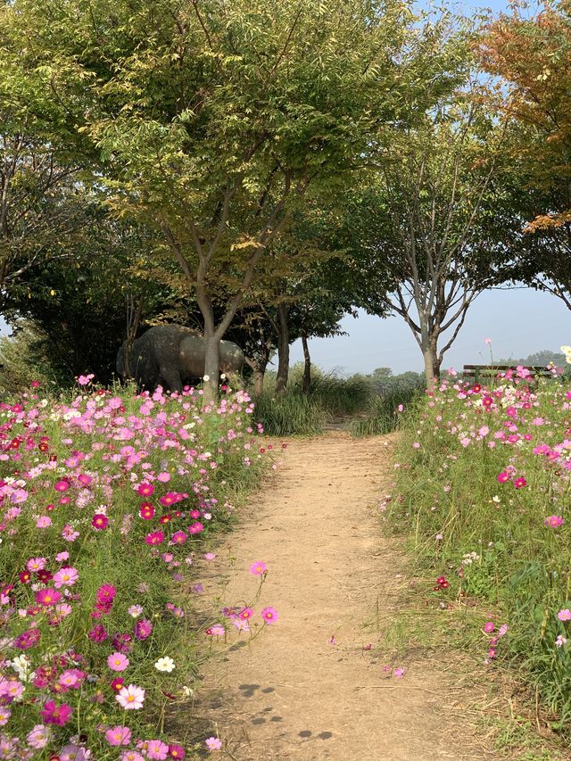 늦가을 초겨울에 떠나는 여행! 국내 서산여행