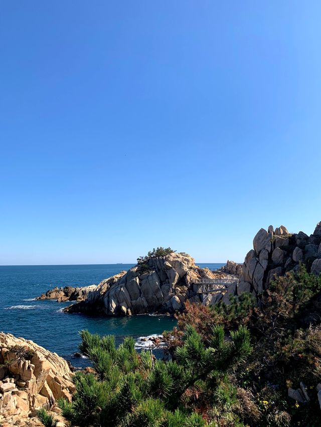 깨끗한 바다를 볼 수 있는 울산 대왕암공원 🪨