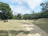 大欖郊野公園