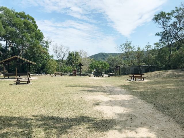 大欖郊野公園