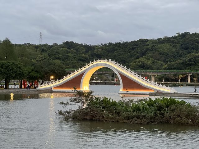 大湖公園散步去｜還可以看到好多的鳥、鵝、鴨😄