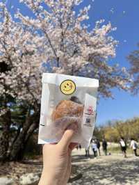 제주에서 난리난 도넛🍩 노티드‼️