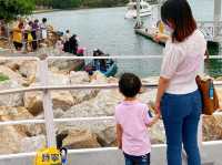 【香港小孩怎能不認識漁業呢？🐟】