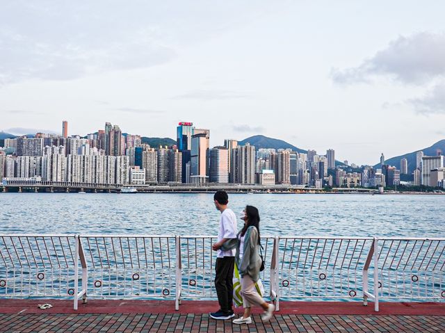 最佳景色