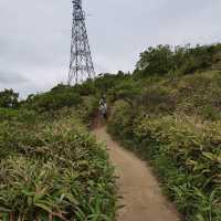 由鬧市幾分鐘行到鳥語花香的山林間