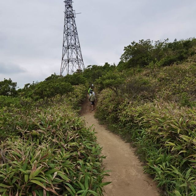 由鬧市幾分鐘行到鳥語花香的山林間