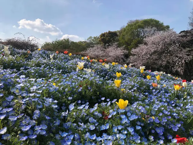 鶴舞公園｜名古屋