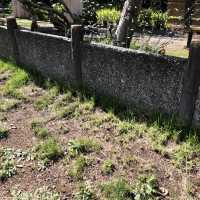 散策路が楽しい、定山渓二見公園