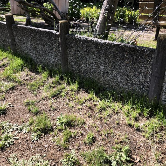 散策路が楽しい、定山渓二見公園