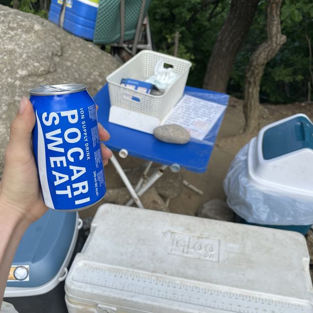 [등산 초보도 완등 가능 ] 서울 등산하기 좋은 산 추천  청계산 